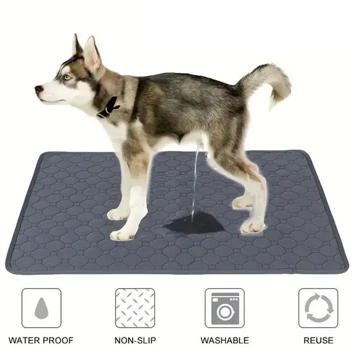 Tapis absorbant réutilisable et lavable pour chien