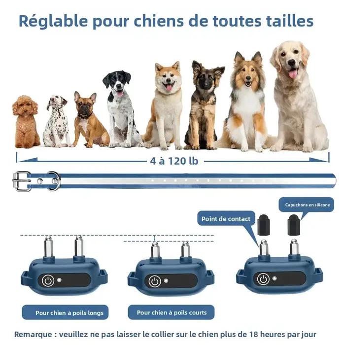 Collier d'entraînement pour chien