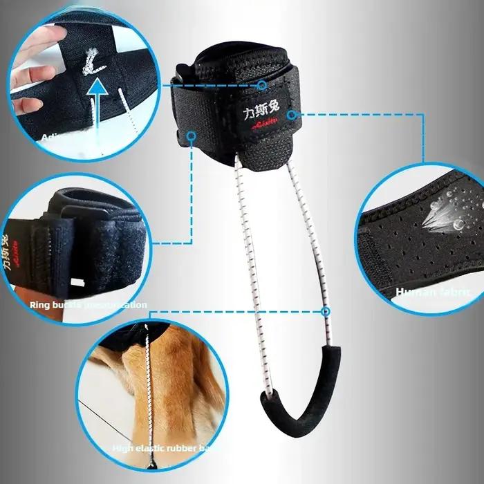 Support de jambe arrière pour chien handicapé