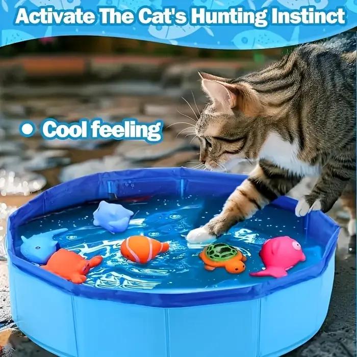 Piscine pour animaux de compagnie