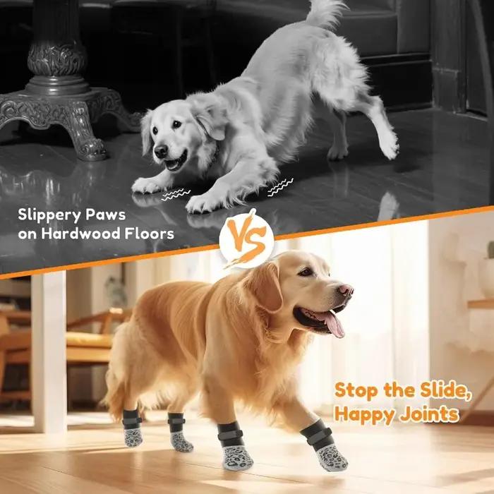 Chaussettes pour chien