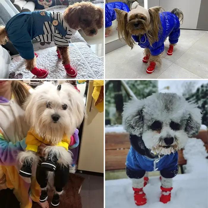 Chaussures d'hiver pour petits chiens