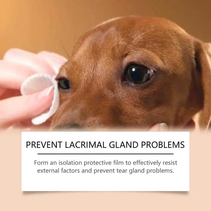 YEGBONG – baume dissolvant de taches pour animaux de compagnie