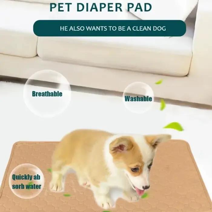 Tapis absorbant réutilisable et lavable pour chien