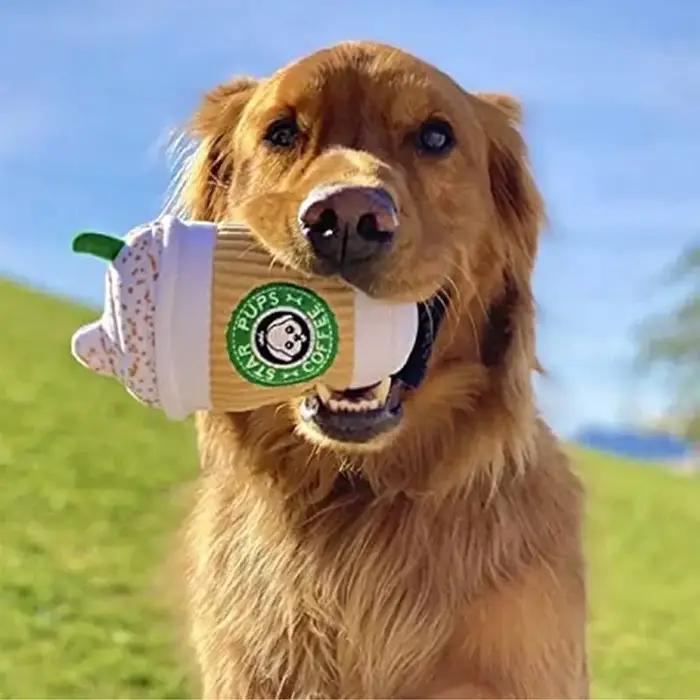 Jouet en peluche pour chien