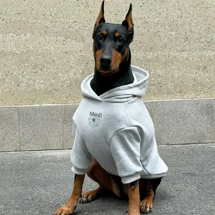 Grand chien à capuche hiver vêtements chauds pour Doberman berger allemand sweat-shirt à la mode