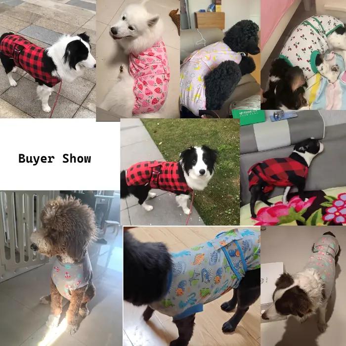 Combinaison de récupération en coton pour chien
