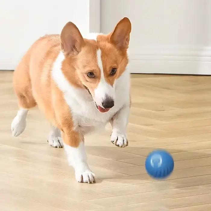 Jouets pour chiens, balle de saut par gravité intelligente