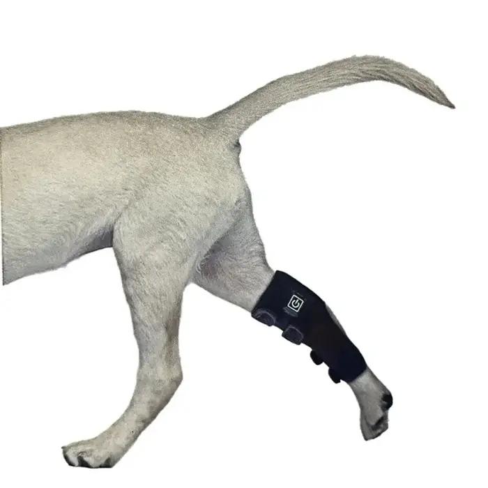 Couverture de photothérapie pour animaux de compagnie