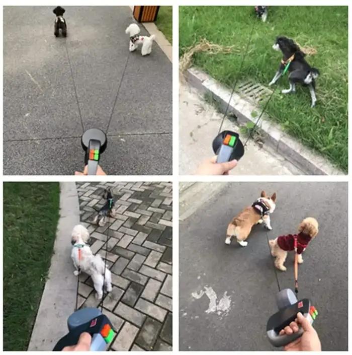 Laisse double rétractable et extensible pour chiens