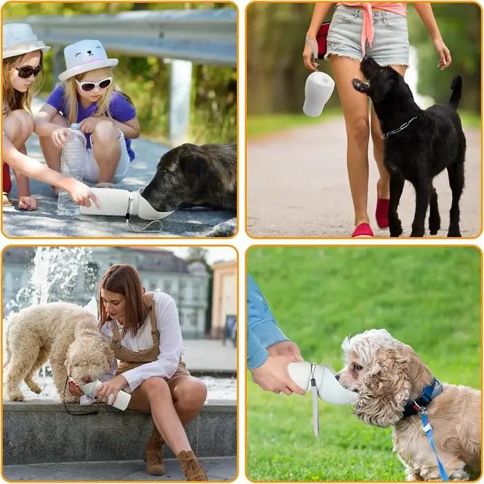 Bouteille d'eau portable pour chien spacieuse de 550 ml