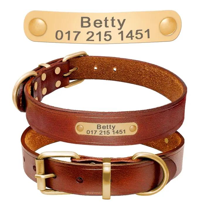 Collier d'identification de chien personnalisé en cuir véritable