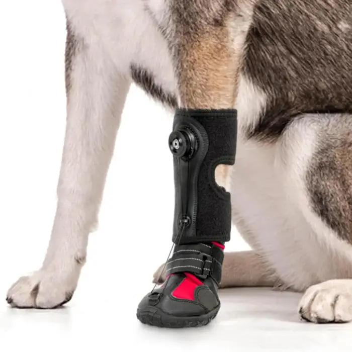 Chaussures pour animaux de compagnie, Anti-saleté, Anti-chute, semelle rigide résistante à l'usure, attelle de pied pour chien, Protection des pattes de chien pour les aventures en plein air