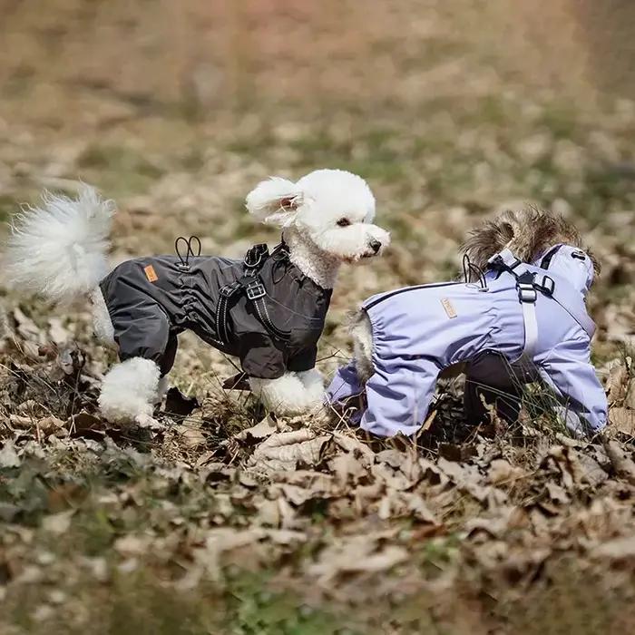 Imperméable pour chien avec harnais – Veste réfléchissante