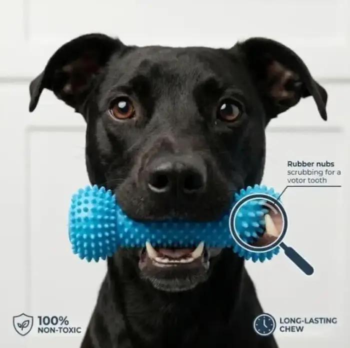 Jouet de brossage dentaire pour chien avec ventouse et corde de traction