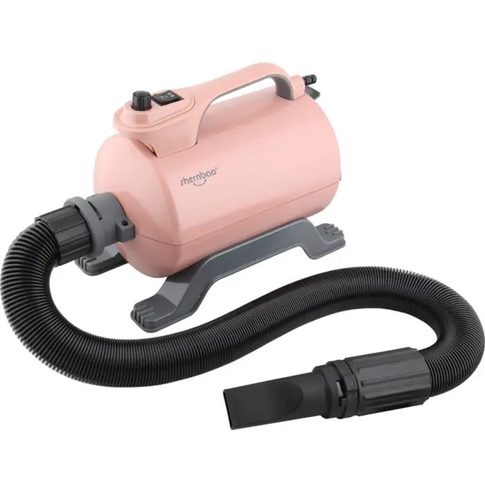 Remium rofessionnelle 220v/2800w