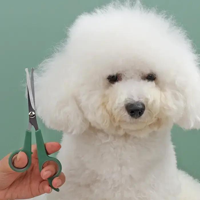 Ciseaux de toilettage pour animaux de compagnie