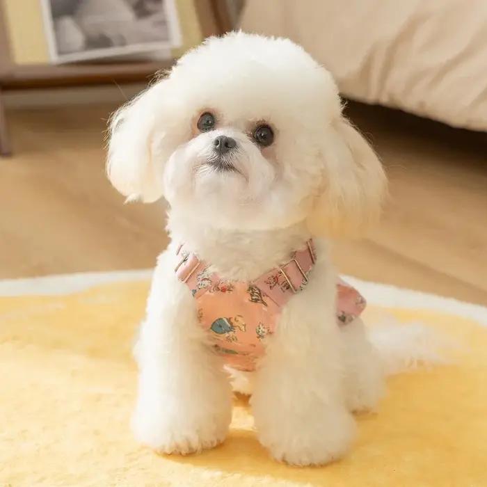 Doodle imprimé chiot printemps vêtements fille Chihuahua extérieur gilet robe pour chats salopette réglable doux petit chien de compagnie vêtements