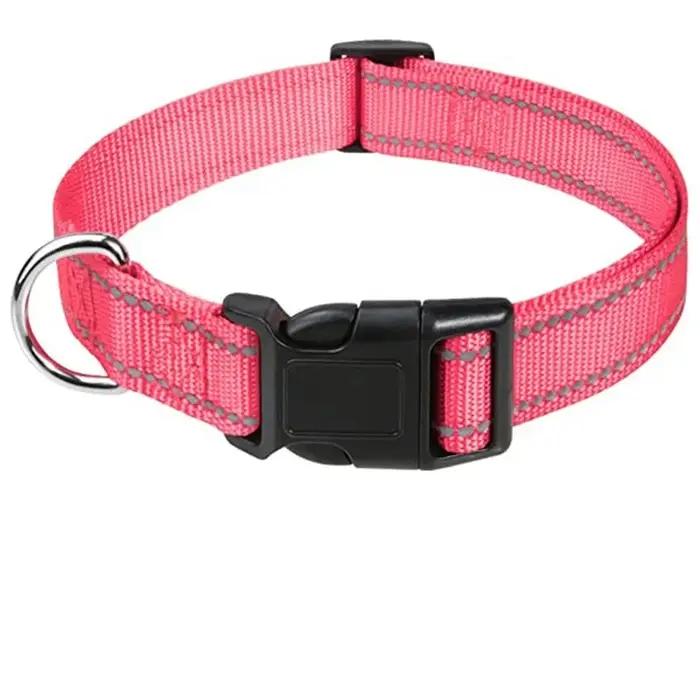 Collier pour chien en nylon