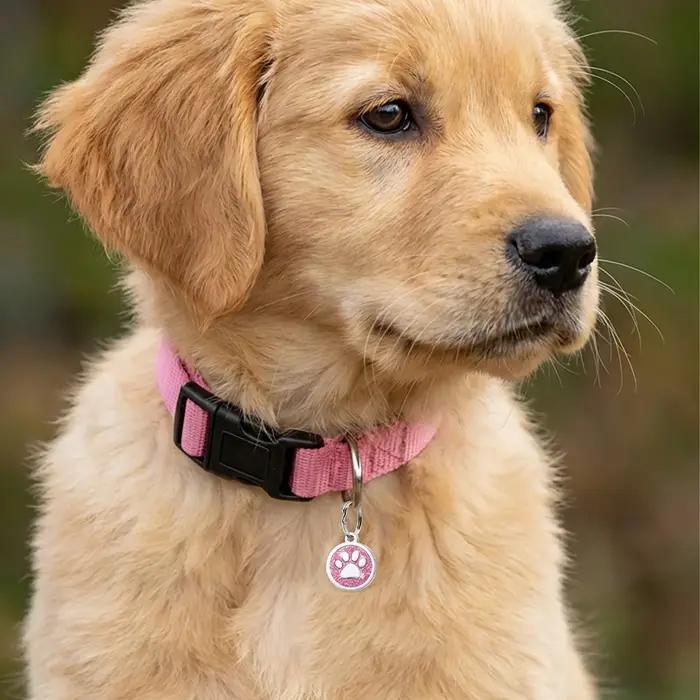 Étiquettes d'Identification Personnalisées pour Animaux de Compagnie - Gravure Scintillante - Accessoires Sécurité pour Chiens et Chats Occasions Spéciales