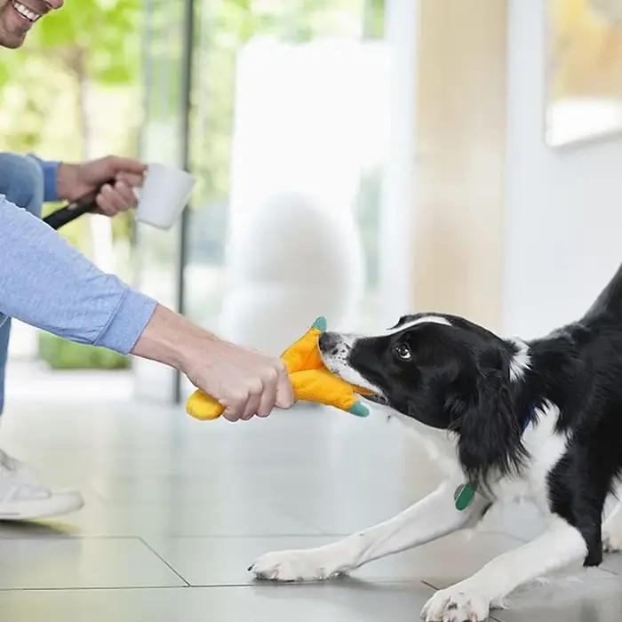 Jouet grinçant en forme d'animal pour chien, jouets en peluche résistants aux morsures pour petits et moyens chiens, jouets interactifs pour chiots, accessoires pour chiens