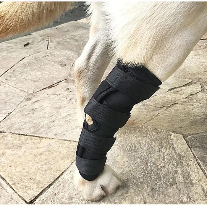 Genouillères de jambes pour chiens
