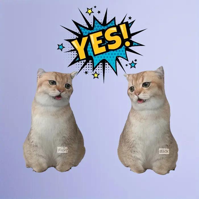 Coussin personnalisé pour animaux de compagnie - Coussins mignons pour chiens et chats avec photo amusante
