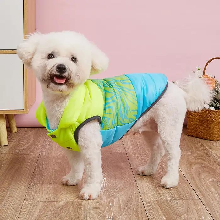 Vêtements d'hiver pour chiens