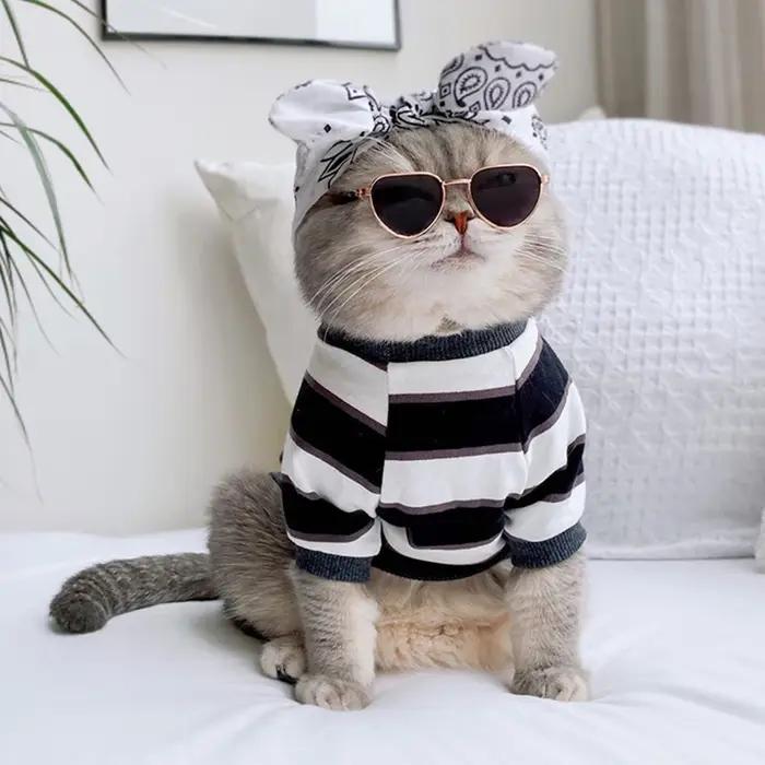 Lunettes de soleil réfléchissantes rondes vintage pour animaux de compagnie