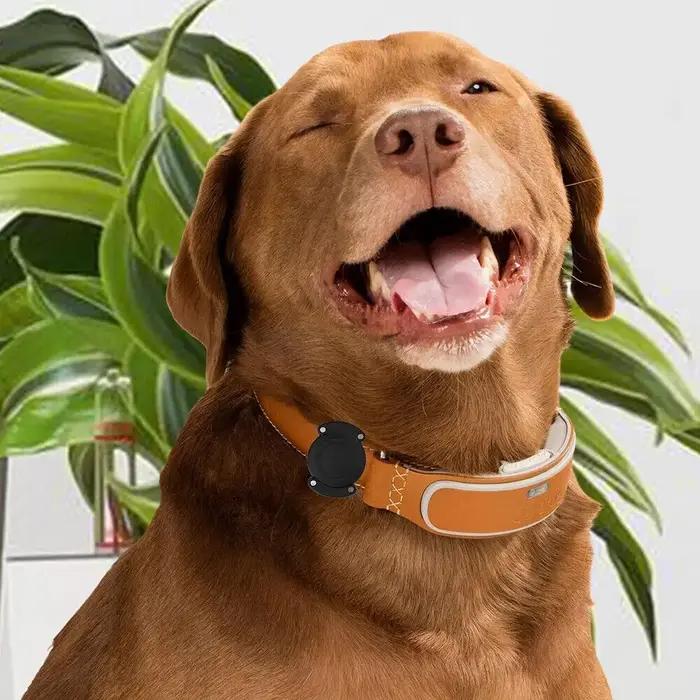 Collier de chien en nylon souple avec étiquette d'air Apple