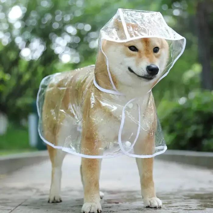 Manteau imperméable Transparent pour chien