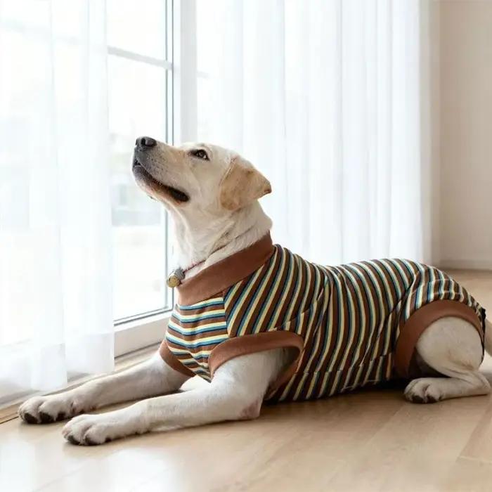 Combinaison de stérilisation pour chien en velours blanc et noir élégante et confortable pour récupération et soins quotidiens