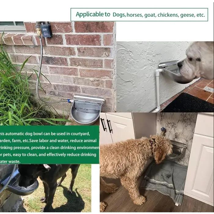 Distributeur d'eau automatique en acier inoxydable pour chiens, bol à boire pour ferme, bétail, cheval, chèvre, mouton