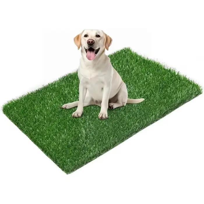 Tapis d'entraînement lavable et réutilisable pour chien