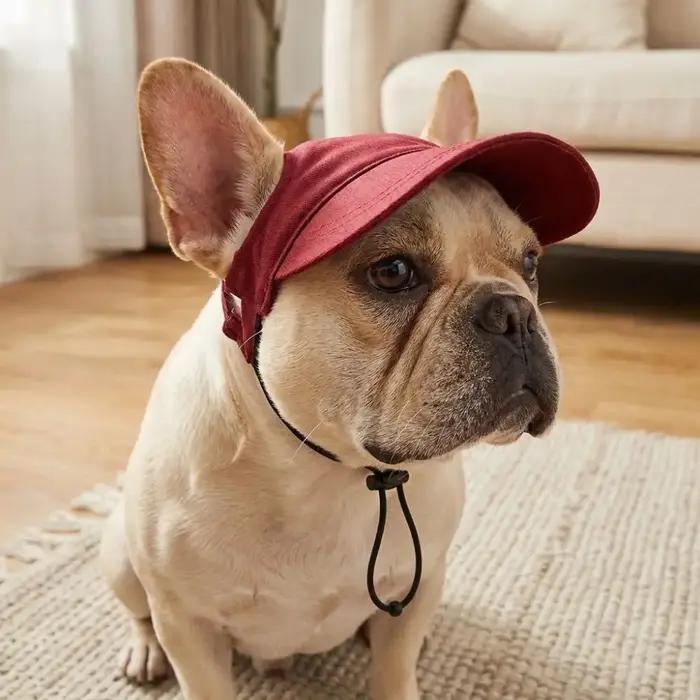 Casquette de baseball ajustable pour chien avec trous pour les oreilles