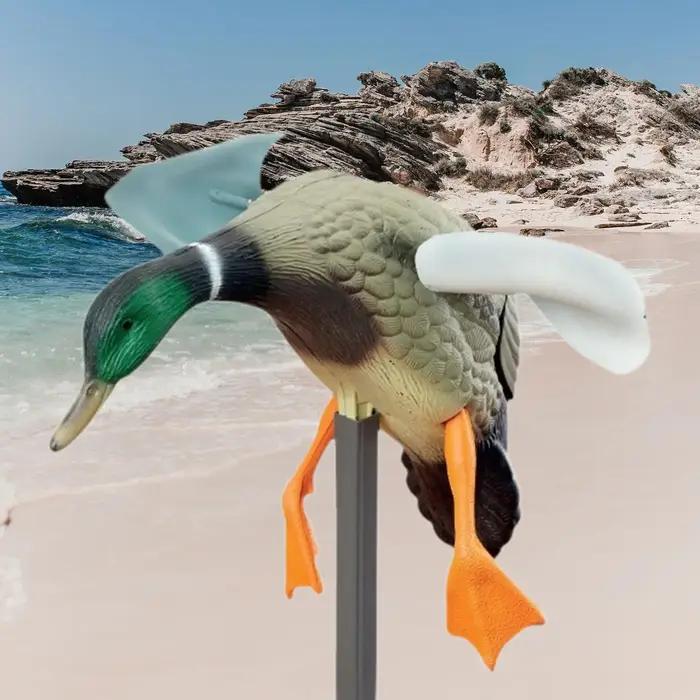 Leurre canard rotatif réaliste pour chasse : mallard avec rotation au vent pour attirer les canards sauvages