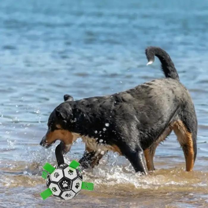 Balles à mâcher en cuir pour chiens, jouets interactifs pour entraînement en plein air et occasions spéciales