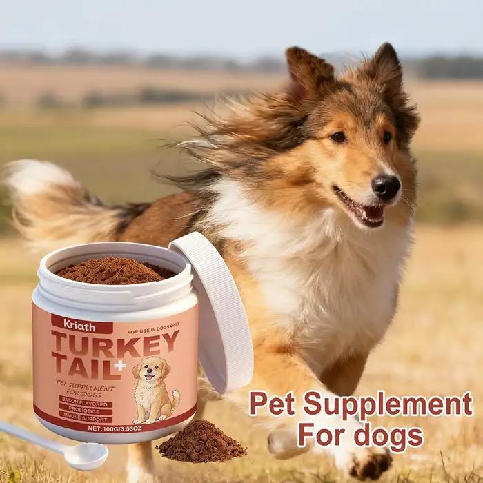 Complement alimentaire pour soutenir l'immunité des chiens favorisant une fonction immunitaire saine tous les jours pour chiens de toute race
