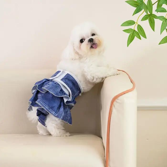 Couches réutilisables pour chiens féminins