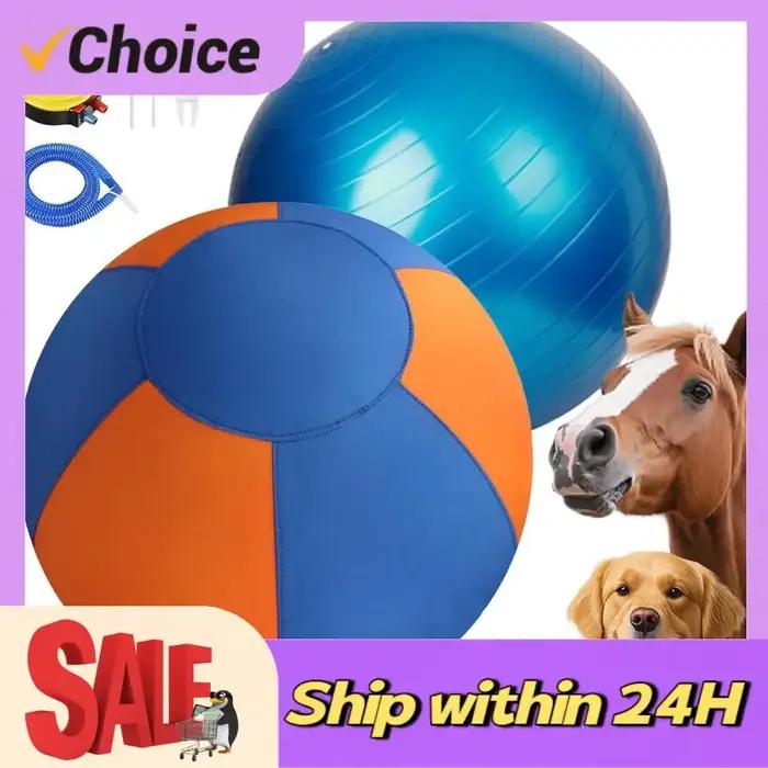 Ballon de dressage pour chiens 25/45/55CM avec housse de protection et pompe
