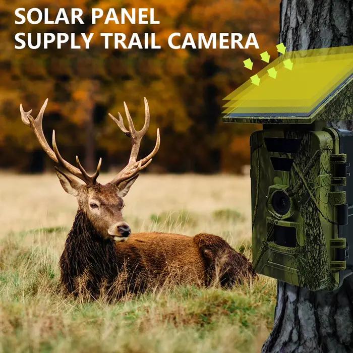 Caméra de chasse WiFi