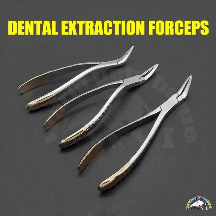 Pince d'extraction dentaire pour chien et chat, outil médical pour hygiène bucco-dentaire, kit de soins vétérinaires pour animaux de compagnie