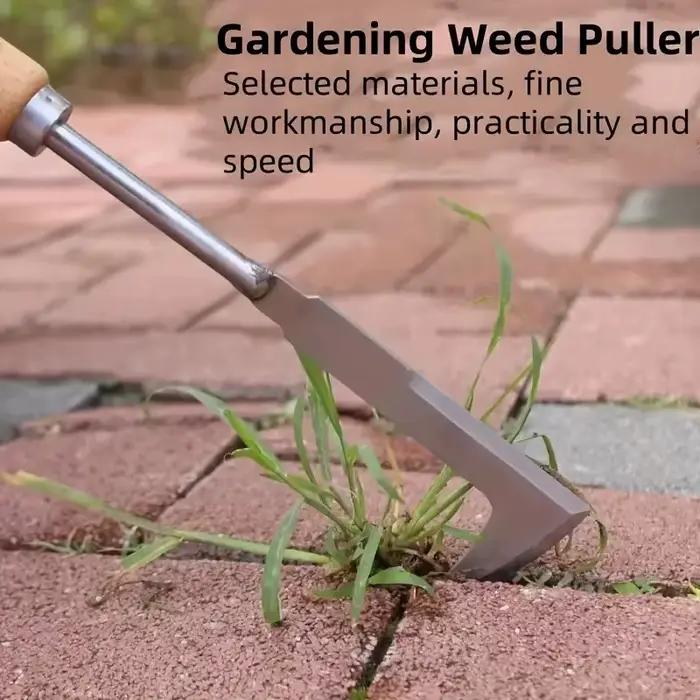 Outil de désherbage en acier inoxydable pour jardinage main facile à utiliser pour cour patio allée durable efficace harmonieux ambiance relaxante entretien simple occasions spéciales