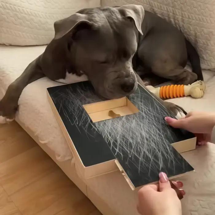 Grattoir en bois pour chiens avec boîte à friandises intégrée