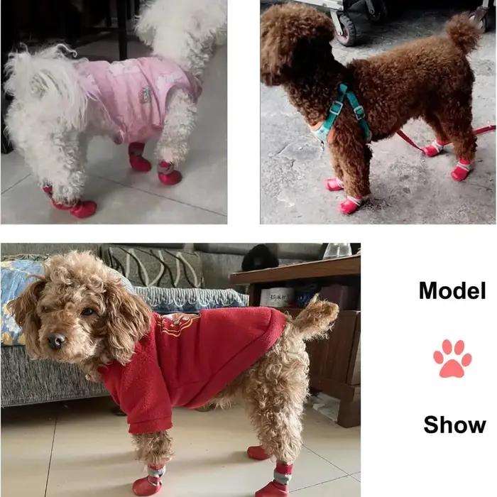 Chaussures de protection pour pattes de chien