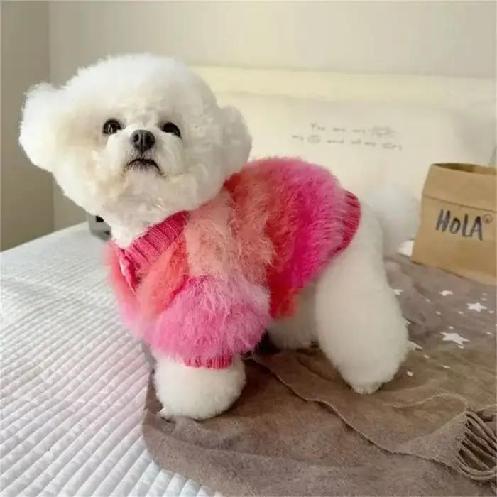 Pull en fausse fourrure blanc pour petits chiens Teddy Bichon Poméranien hiver confort sécurité