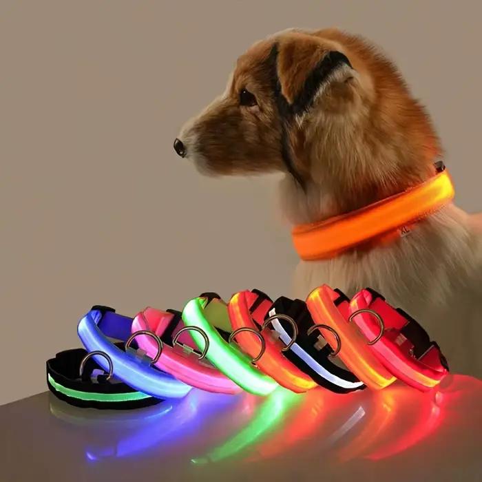 Laisse LED clignotante en nylon pour chien