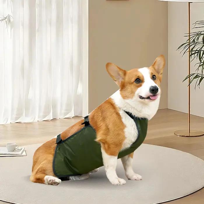 Protecteur de ventre de grand chien