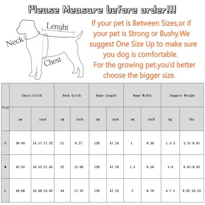 Laisse en nylon personnalisable pour petits chiens et chiots, ensemble pour promenades extérieures, toutes saisons, toutes étapes de vie, à offrir pour anniversaire ou Noël