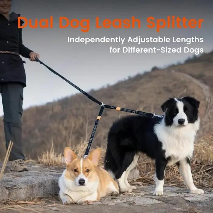 Attache double pour laisse de chien